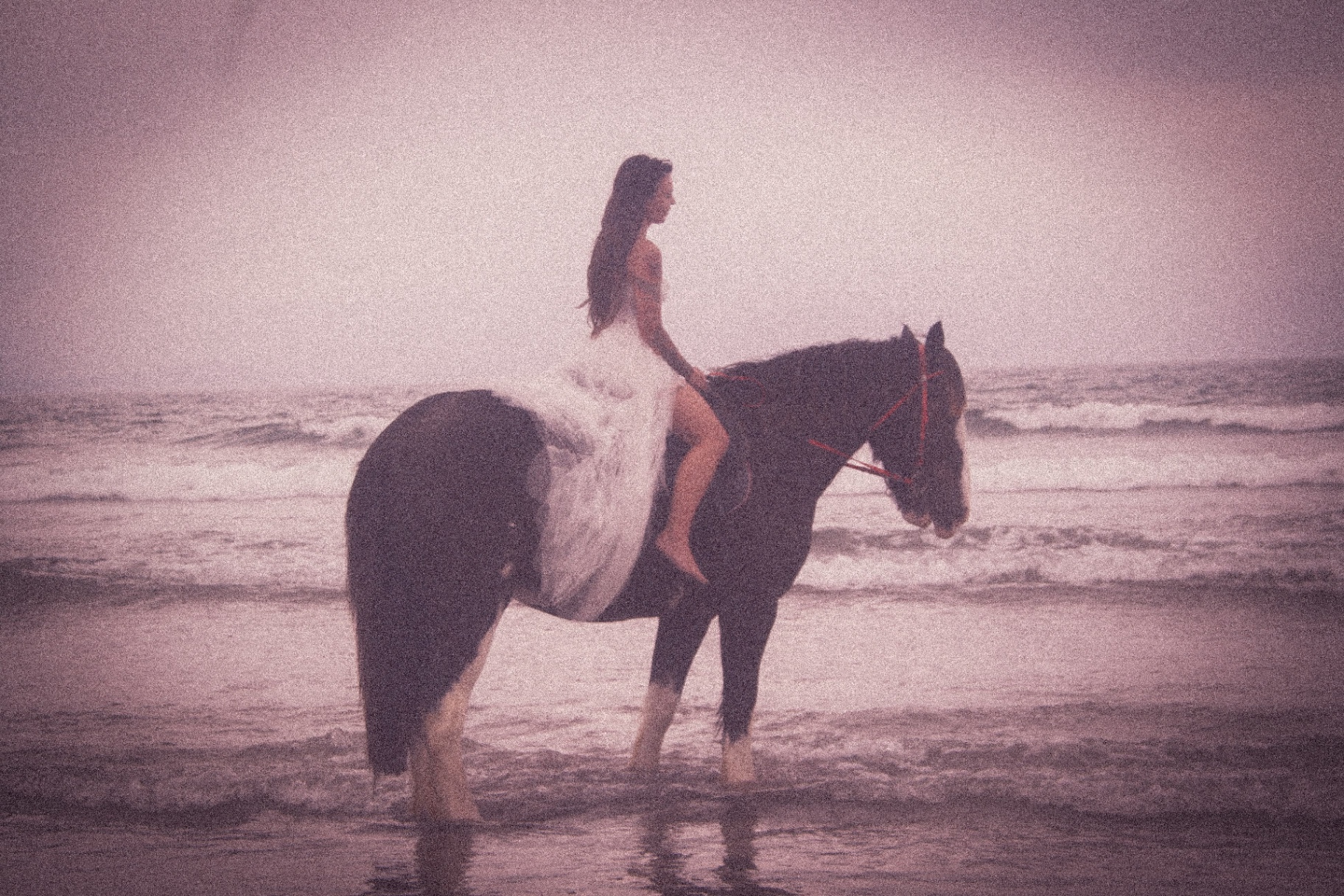 Alanna-Erin in a white dress on horseback in the shallow surf at dusk